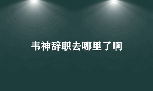 韦神辞职去哪里了啊