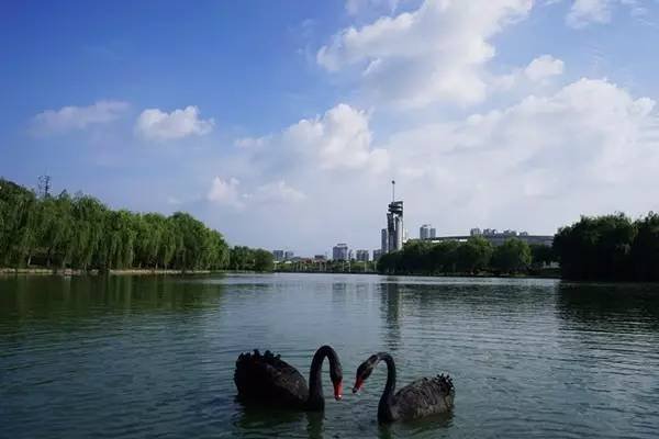 合工大2023高考录取线