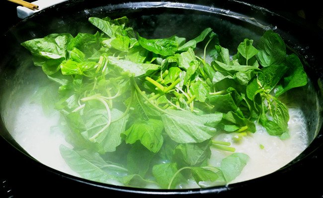 胖兔子粥粥的个人资料
