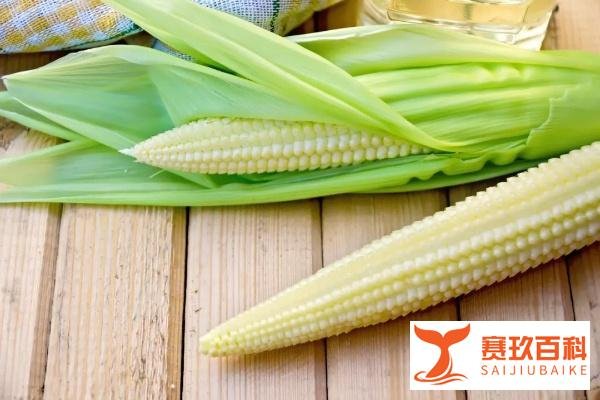 迷你蔬菜，到底是不是智商税？