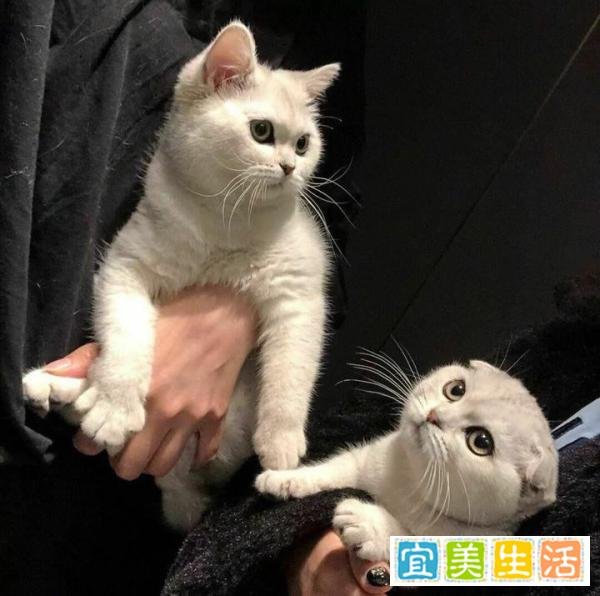 超级温柔有意义的网名