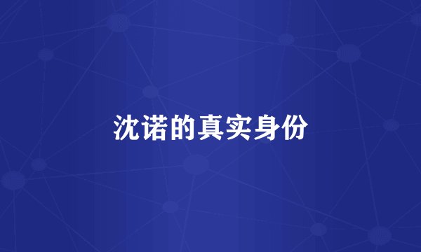 沈诺的真实身份