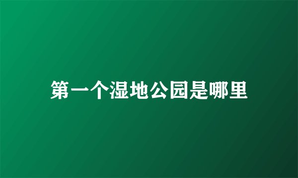 第一个湿地公园是哪里