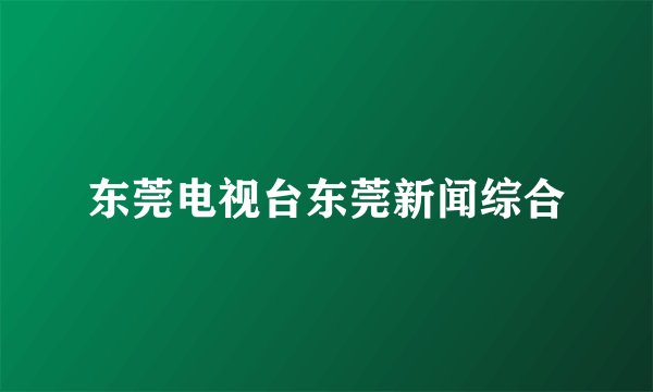 东莞电视台东莞新闻综合