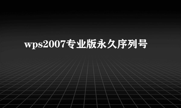wps2007专业版永久序列号
