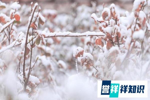 “小雪不见雪，来年长工歇”，啥意思，什么预兆，有科学道理吗？