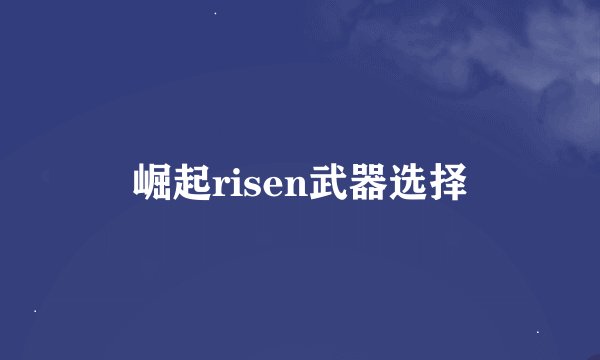 崛起risen武器选择
