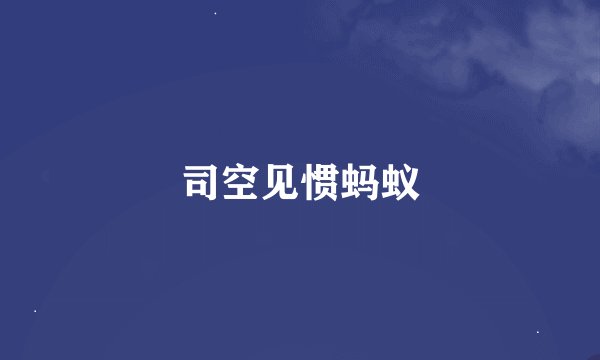 司空见惯蚂蚁