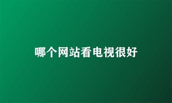 哪个网站看电视很好