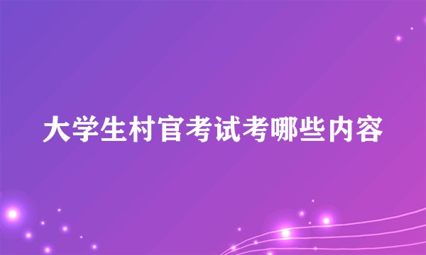 大学生村官考试考哪些内容