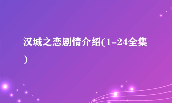 汉城之恋剧情介绍(1-24全集)