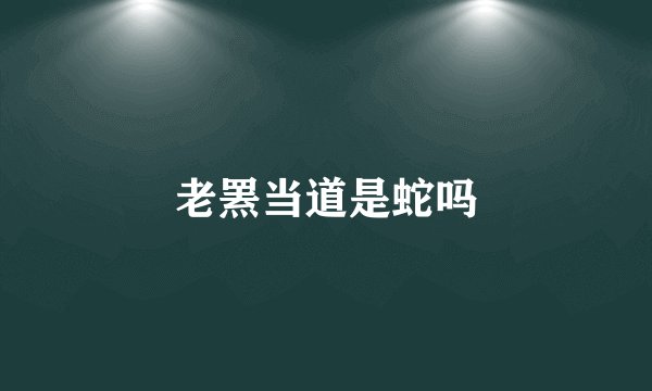 老罴当道是蛇吗