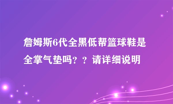 詹姆斯6代全黑低帮篮球鞋是全掌气垫吗??请详细说明