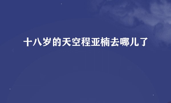 十八岁的天空程亚楠去哪儿了