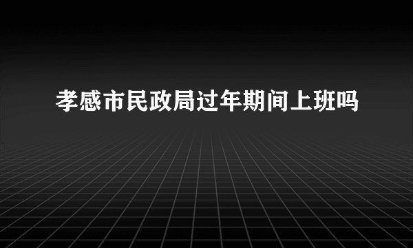 孝感市民政局过年期间上班吗