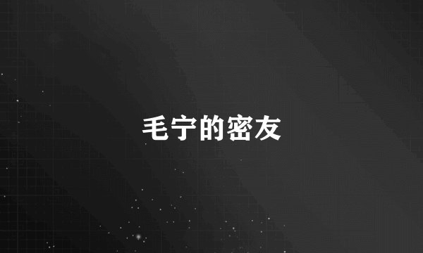 毛宁的密友