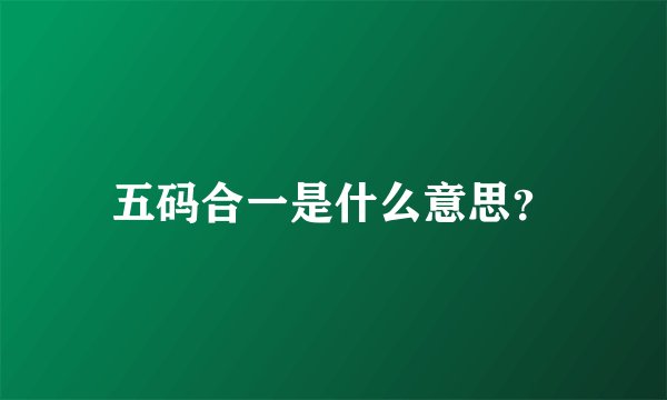 五码合一是什么意思？