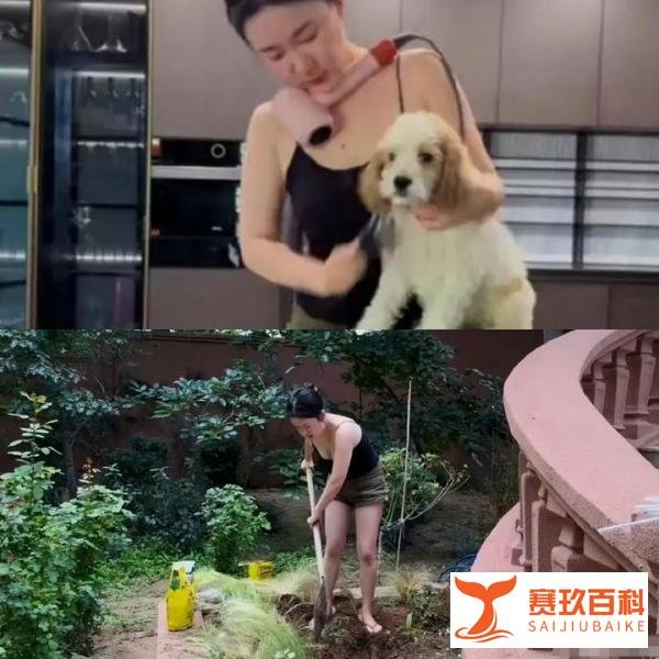 霍思燕晒新家vlog 住豪宅养孔雀 43岁退休生活让人羡慕
