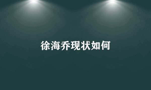 徐海乔现状如何