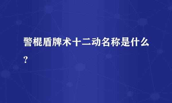 警棍盾牌术十二动名称是什么？