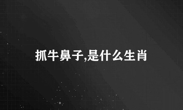 抓牛鼻子,是什么生肖
