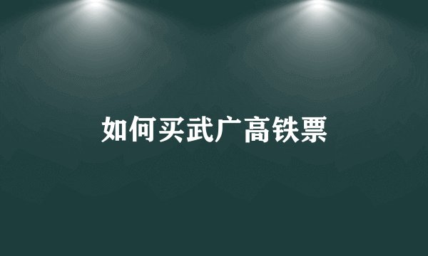 如何买武广高铁票