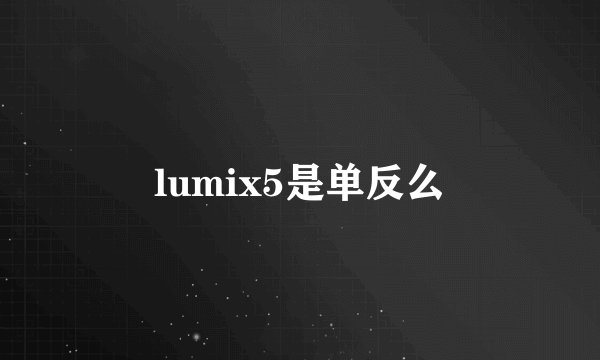 lumix5是单反么