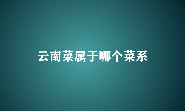 云南菜属于哪个菜系