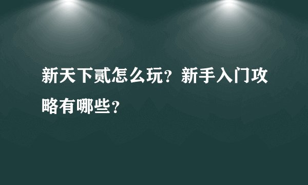 新天下贰怎么玩？新手入门攻略有哪些？