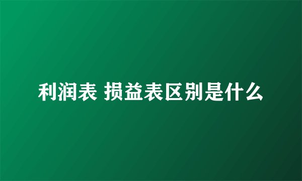 利润表 损益表区别是什么