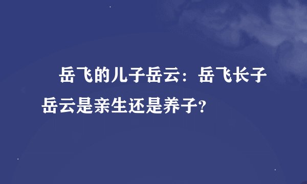 岳飞的儿子岳云：岳飞长子岳云是亲生还是养子？