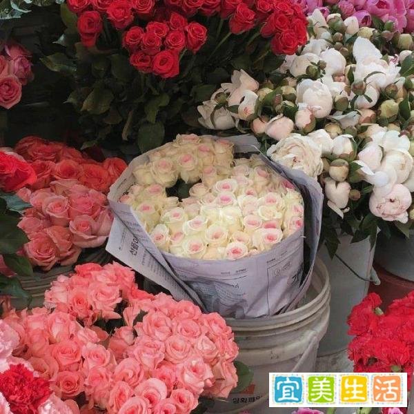 超级温柔有意义的网名