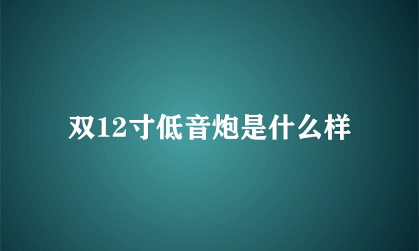 双12寸低音炮是什么样