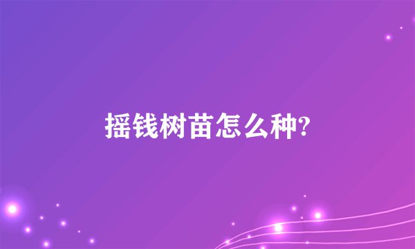摇钱树苗怎么种?