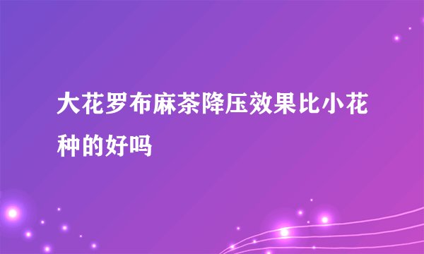 大花罗布麻茶降压效果比小花种的好吗
