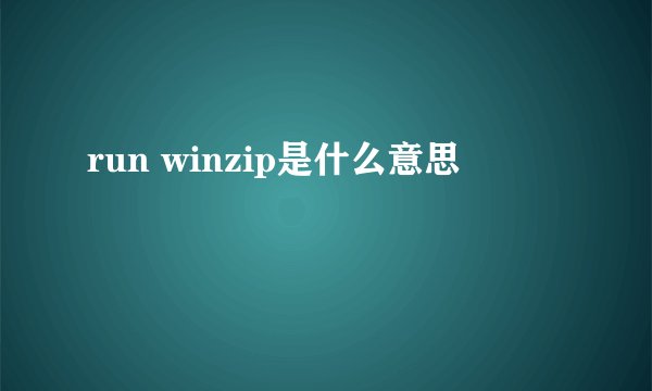 run winzip是什么意思