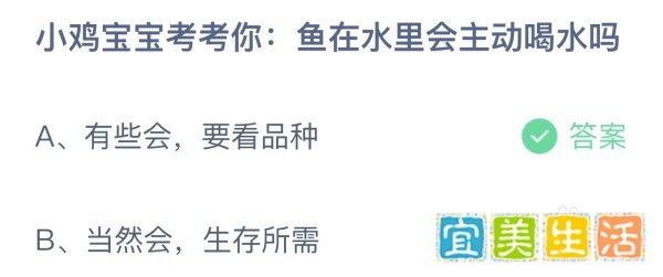 蚂蚁庄园小鸡宝宝考考你:鱼在水里会主动喝水吗