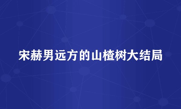 宋赫男远方的山楂树大结局