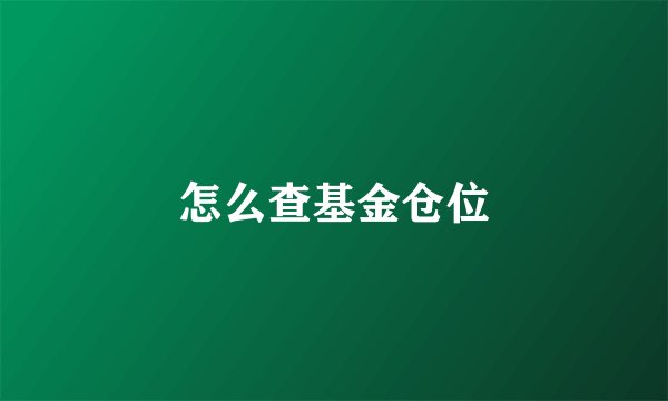 怎么查基金仓位