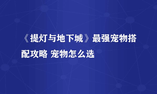 《提灯与地下城》最强宠物搭配攻略 宠物怎么选