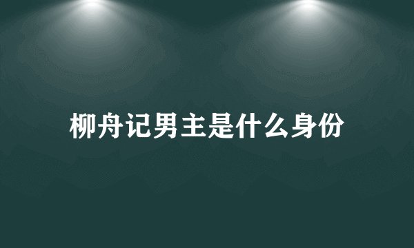 柳舟记男主是什么身份