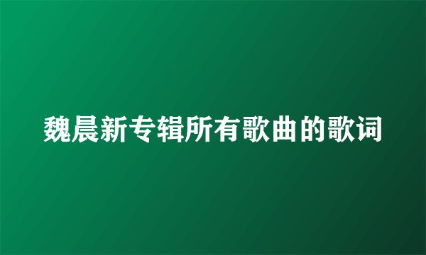 魏晨新专辑所有歌曲的歌词