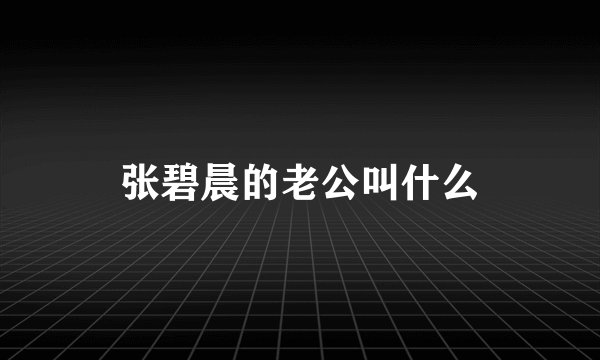 张碧晨的老公叫什么
