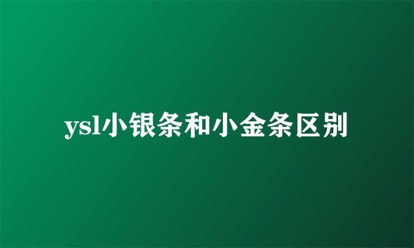 ysl小银条和小金条区别