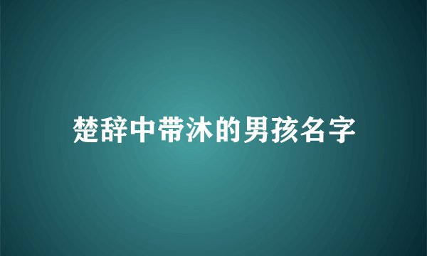 楚辞中带沐的男孩名字