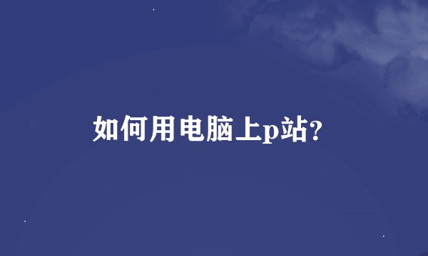 如何用电脑上p站？