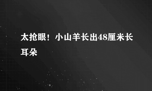 太抢眼！小山羊长出48厘米长耳朵