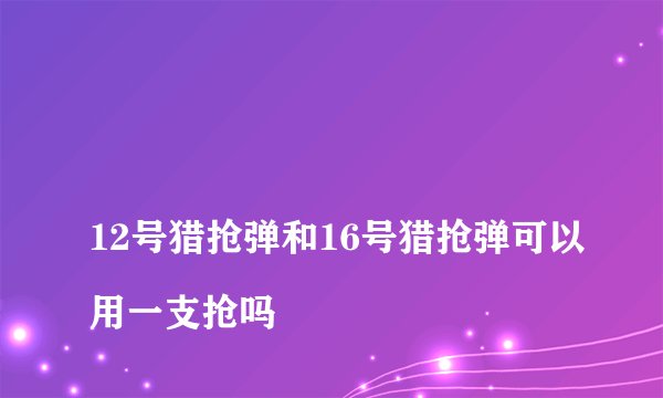 
12号猎抢弹和16号猎抢弹可以用一支抢吗

