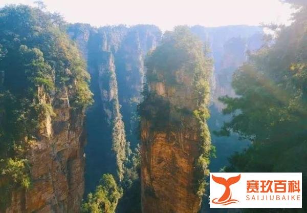 张家界一般游玩几天比较好呢?