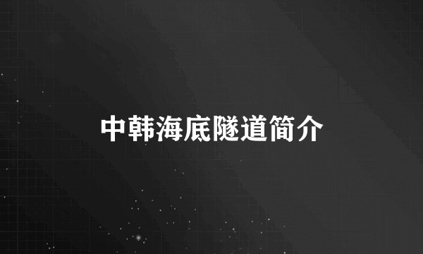 中韩海底隧道简介